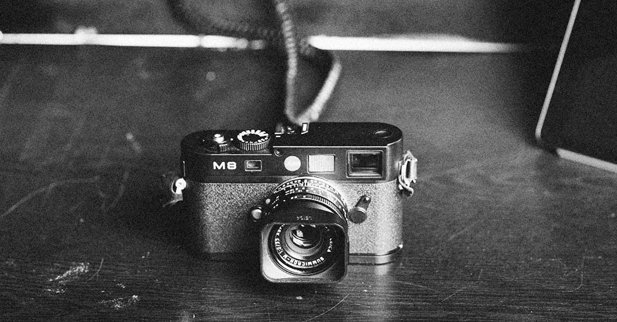 Основы профессиональной фотографии - камера и композиционные принципы